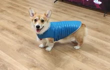 Dog-Down-Jacket French-Bulldog-Vest Pet-Chihuahua-Coat Dogs Reflective Reversible Winter