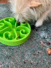 Eat Slow Dog Bowl Slow Feeder Bath Pet Supplies Pet Accessories Dog Slow Feeder Bowl