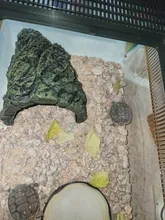 Aquarium Turtle Cave Fish-Hiding Reptile Hide Habitat-Decor Basking Landscaping