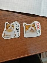 Lost a cat-mini pegatinas decorativas de papelería, conjunto de álbum diario de recortes, palo de etiqueta Kawaii, papelería