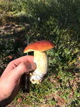 Gym-Bags Separation-Bags Sac-De-Sport Fitness-Training Travel Multifunction Outdoor 