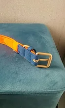 Dog-Collar Id-Plate Engraved Dogs Pitbull Custom Personalized Padded with Tag 2-Layers