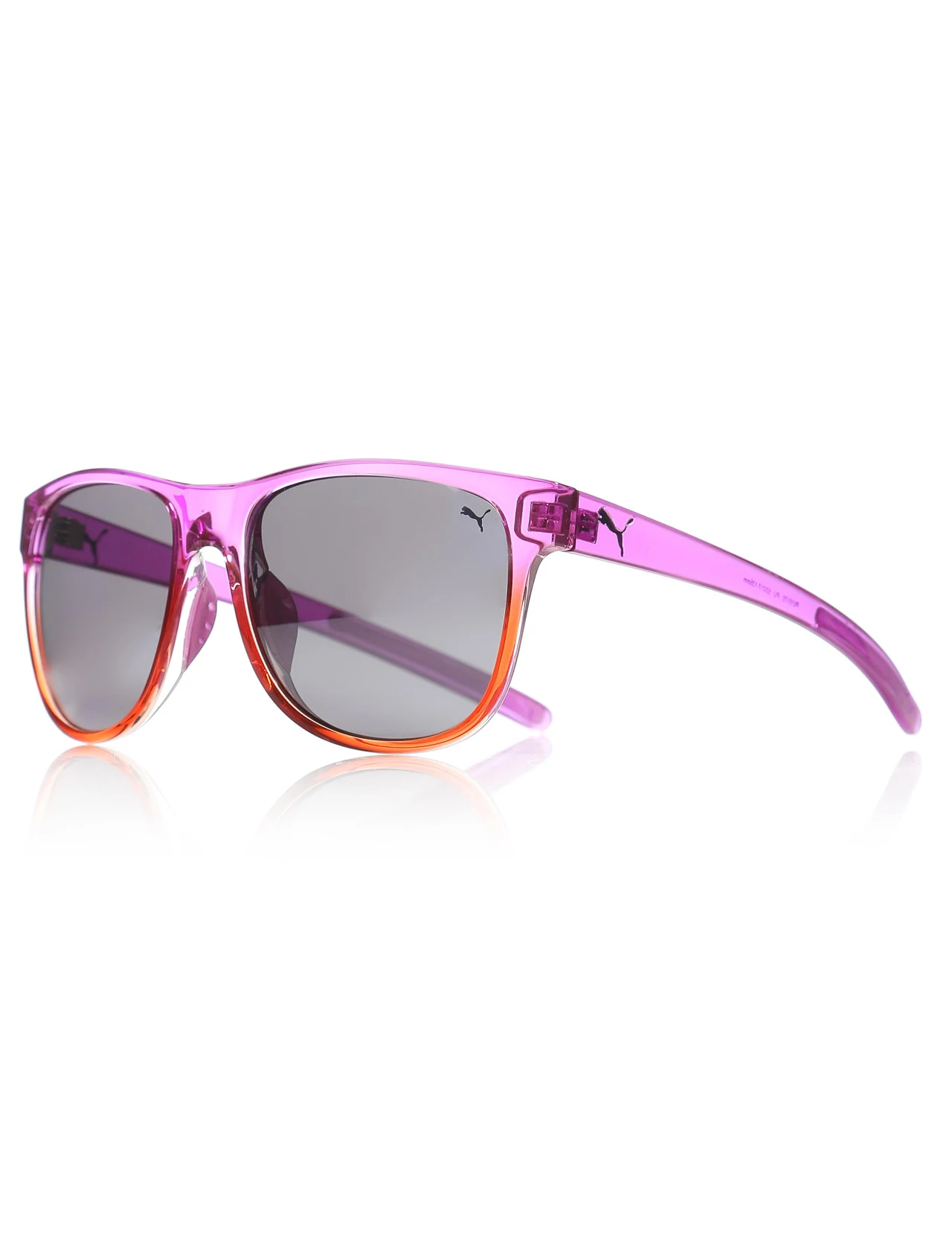 

Unisex sunglasses pm 15170 pu 53 bone purple organic 53-puma