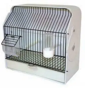 

White Canary exhibition contest cage