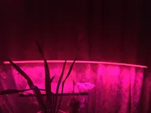 Phyto-Tape Flowers Seed-Plants Grow-Light Greenhouses Strip-0.5m USB Full-Spectrum 2835