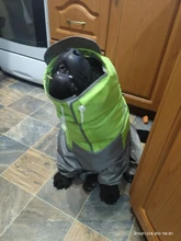 Mono impermeable para perro mascota, ropa impermeable para exteriores, mono con capucha para perros pequeños y grandes, capa impermeable, Bulldog francés