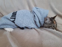 Ropa Para gato mascotas abrigos para gato chaqueta sudaderas con capucha para gatos traje cálido para mascotas conejo animales traje para mascotas para perros