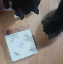 Cat-Toy Cat-Catching-Mouse Magic-Box Crazy-Game Smart-Teasing Interactive Electric MEWOOFUN