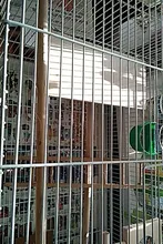 Misterolina loro cacatúa percha para pájaros soporte plataforma suministros aves jaula pequeña diaria de la casa mascotas colgante accesorios para mascotas T S8Q2