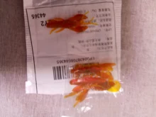 Silicone Bait Float Wobbler Shrimp Lobster Worm Fishing-Lure Lizards Twintails 4pcs 2g