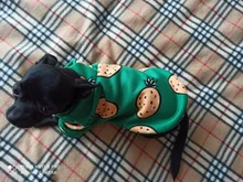 Traje para perros con estampado de animales, abrigo suave de algodón para mascotas, Jersey, camisa, chaqueta, suéter, ropa para mascotas