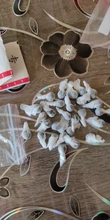 Pegatina del ombligo para la pérdida de peso, parche del vientre para mejorar la pérdida de peso en frío, para la menstruación Irregular del vientre