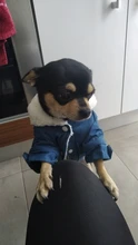 De lujo de invierno chaqueta perro cachorro perro ropa para mascotas ropa de perro abrigo Denim Jeans traje Chihuahua caniche mascota Bichón ropa 35S1