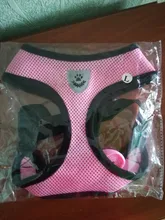 Mesh-Vest Harness Leash Walking-Lead Cat Small Dog Kitten Adjustable Puppy Nylon Mewoofun