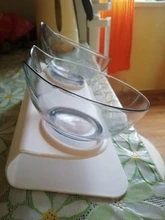 Cat-Bowls Products Pet-Food Raised-Stand Pet-Supplies Cats-Dogs-Feeders Non-Slip Double