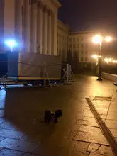 Coat Pet-Dog-Jacket Dogs French Bulldog Waterproof Chihuahua Winter Puppy-Vest Small