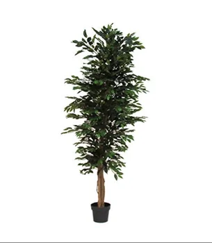 

Verdevip Ficus Benjamin Verde - Albero Artificiale da Arredo Interno con Tronco Vero - Alto 175 cm Largo 65 cm