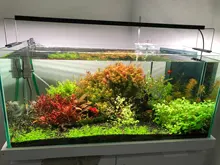 Water-Plant-Lighting Aquarium Chihiros 2-Led-Light-Upgrade App-Control Specturn Bluetooth