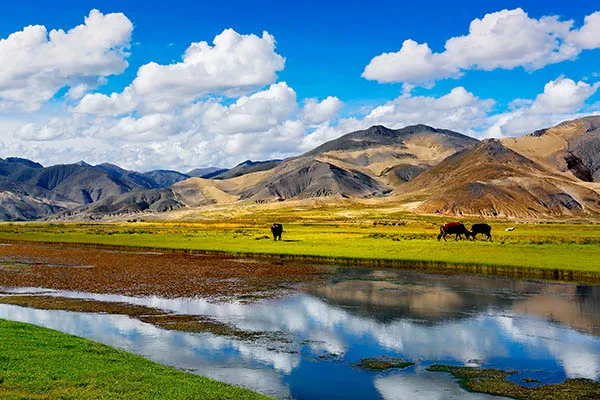 日喀则海拔是多少 西藏日喀则有多少海拔