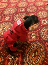 Jumpsuit Clothing Hoodies Jacket Pet-Dog-Coats Small Dogs Sport Apparel Winter Fashion