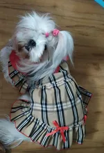 Dress Costume Dog-Puppy-Clothes PET PETCIRCLE Small Dog Classic Check Fit Pet-Cat All-Seasons