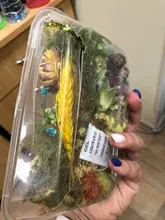 1 caja de hojas de flores prensadas reales, resina de margaritas secas, calcomanías de belleza para uñas, moldes de epoxi, embellecedores para fabricación de joyas