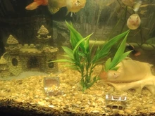 Castle-Tower-Ornaments Decoration Aquarium-Accessories Fish-Tank