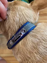 Collar de perros de piel sintética personalizado, reflectante, gato, grabado personalizado, etiqueta de identificación, grabado para cachorro, perros grandes, accesorios para mascotas