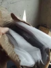 Изображение товара 5