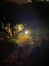 Solar-Spotlight Bright-Landscape IP65 Adjustable 6000k T-SUN 20LED Super