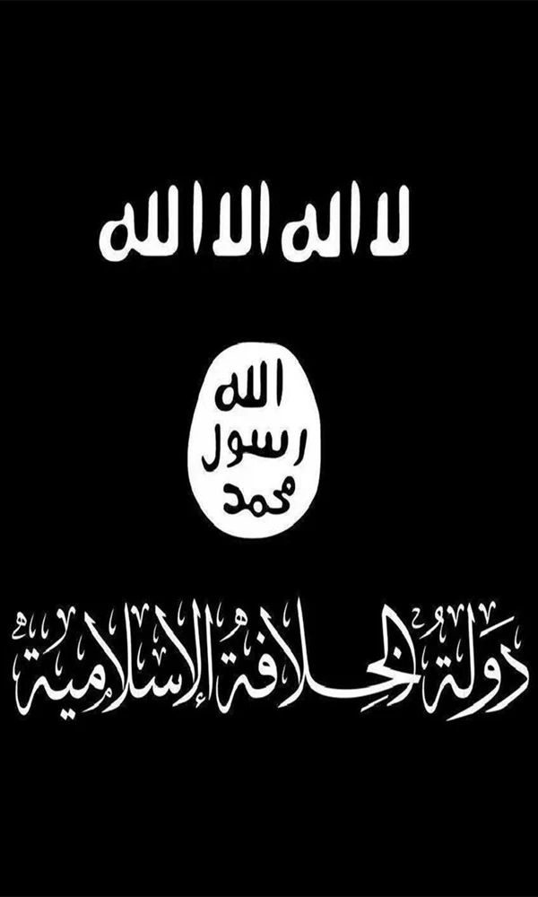 ISIS 《ISIS》封面图片