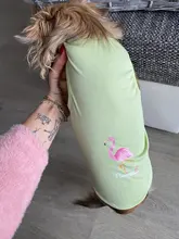 Ropa de verano para mascotas, Camiseta con estampado de flamenco para perro, chaleco para perros pequeños y medianos, accesorios para mascotas, chaleco para gatos, camisas, XS-2XL