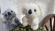 Plush-Toys Koala-Doll Adventure Birthday Small Super-Cute Christmas-Gift 16CM NEW New-Arrival