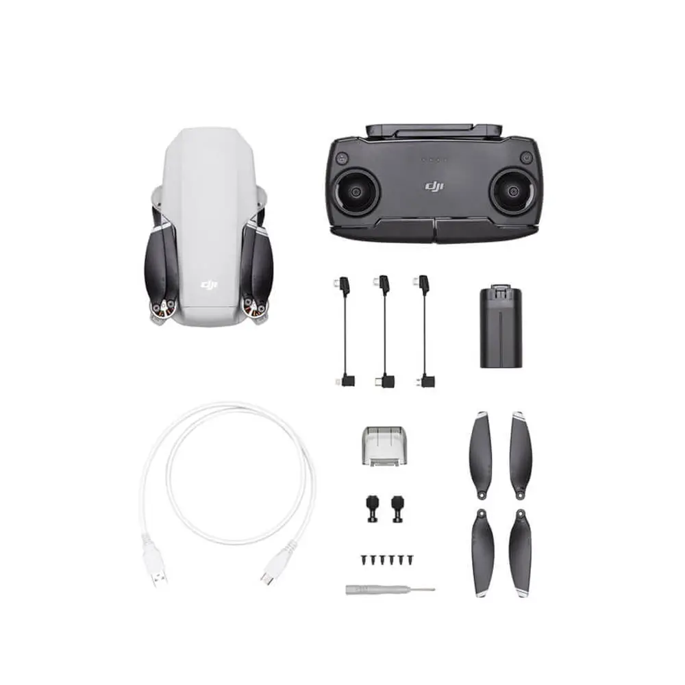 Дрон Dji Mini 2 Купить