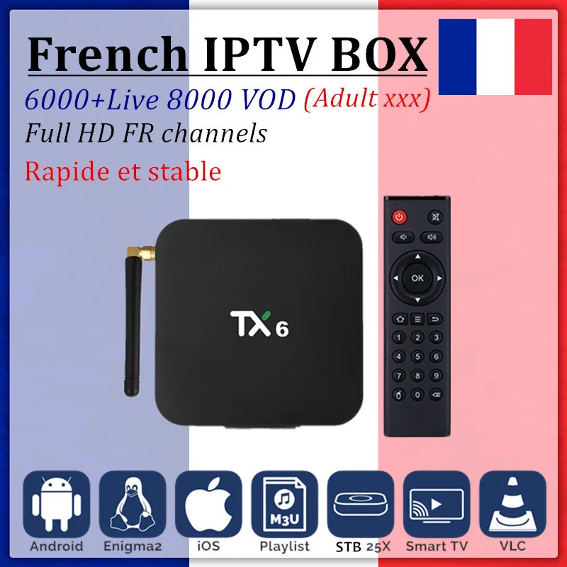 

French IPTV box Android 9.0+1 Year IPTV subscription Europe IPTV France Arabic Portugal Spain IPTV m3u mag smart tv set top box