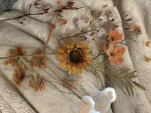 Mohamm-pegatinas de la serie Casa de flores, papel de álbum de recortes, suministros escolares creativos, estilo Ins, n. ° 7, 10 Uds.