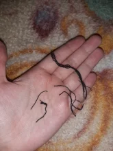 Mom Jeans Capri Loose Baggy Women Harem Pants New-Spring High-Waist Straight Plus-Size