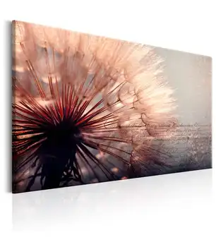 

Picture-Pink Gentleness