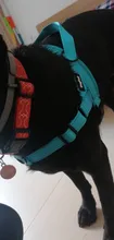Arnés ajustable para perros medianos y grandes, chaleco reflectante de entrenamiento para caminar, sin tirones, para mascotas