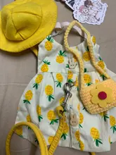 Accessory Hamster Animal-Harness Rabbit-Ferret Bunny Small Vest Leash-Set with Travel-Chest-Strap