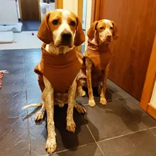 Jacket Vest Puppy-Clothing Pug-Coat Small Dogs Chihuahua Waterproof Winter Teddy Pet-Dog