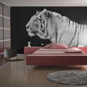 

Wall mural-White Tiger-300x231 cm