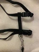 Arnés y correa para cachorros y gatitos, cinturón de tracción ajustable para animales, cuello Halter para gatos y gatitos, sin cartón