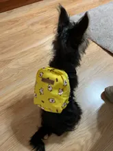 Dog-Backpack-Harness Lead-Carrier Pink Animal Small Cute with Leash-Set Little Pet-Cat