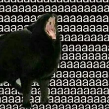 j***r