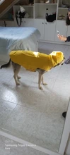 Impermeable para perro mascota impermeable perros grandes ropa de abrigo al aire libre chaqueta de lluvia reflectante Golden Retriever Labrador Husky gran poncho