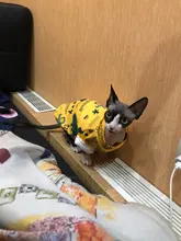 Rabbit Print Pet Cat Costume for Cats Soft Kedi Katten Sweatshirt Hoodie Spring Summer