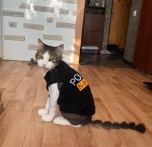 Traje de policía para Cosplay de perros y gatos, chaleco elástico negro, camiseta de cachorro, accesorios, ropa, disfraces