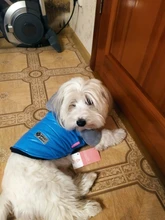 Coat Pet-Dog-Jacket Winter Puppy Hood-Size Warm with 8-18 5-Colors Thickening