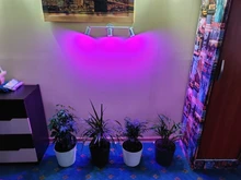 Lamps Growing-Lamp Led-Bulbs Seedling Greenhouse-E14 Phyto B22-Plant GU10 Full-Spectrum